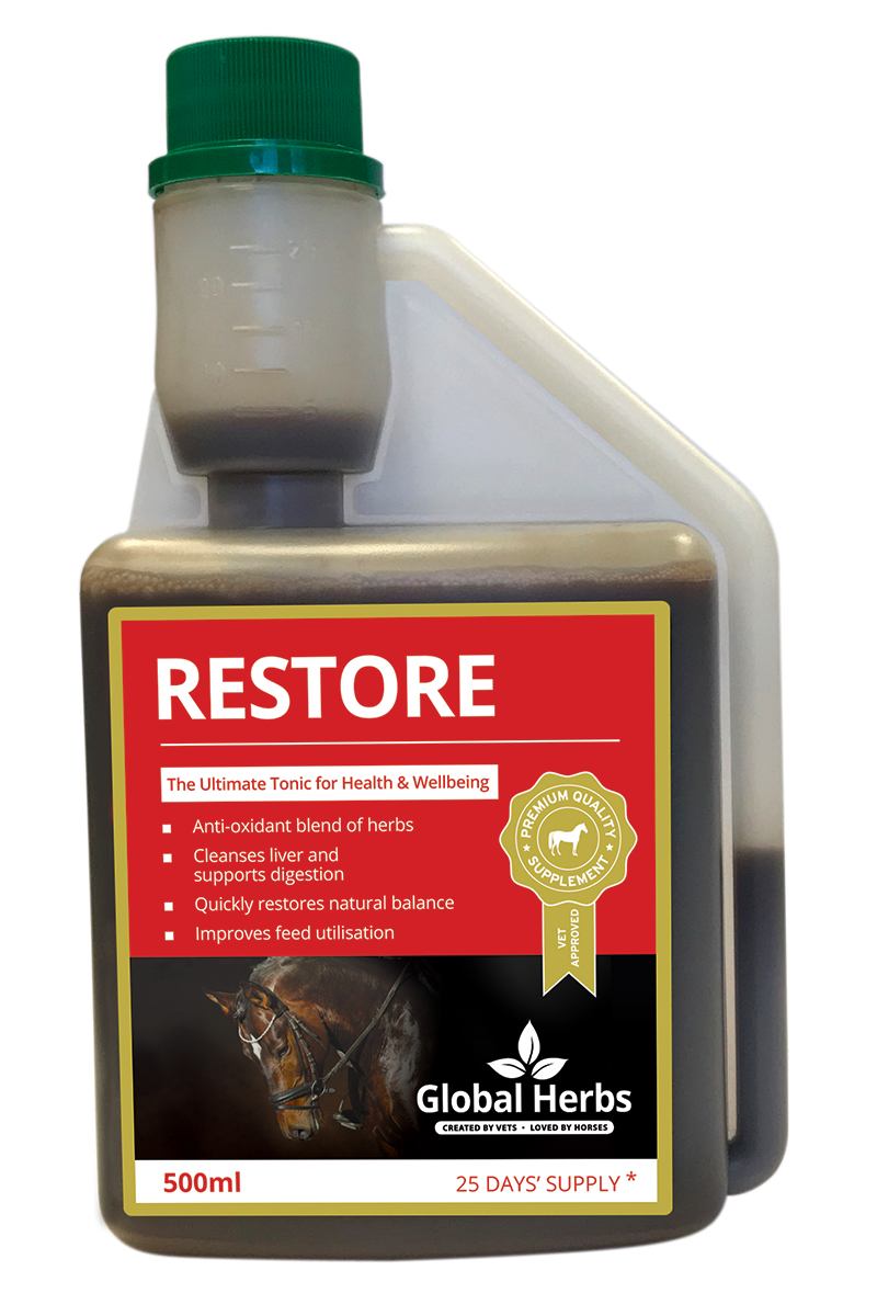 Global Herbs Restore 500ml The Ultimate Tonic